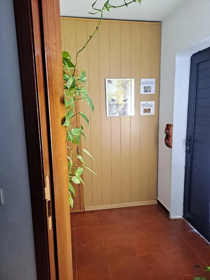 Casa Amaia Villa Arrecife  Holiday home